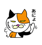 奄美ののねこ（個別スタンプ：38）