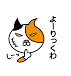奄美ののねこ（個別スタンプ：39）