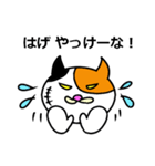 奄美ののねこ（個別スタンプ：40）