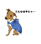 イタグレ Layla（個別スタンプ：6）
