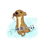 イタグレ Layla（個別スタンプ：9）