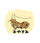 イタグレ Layla（個別スタンプ：16）