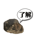 オカヤドカリ 〜ず！！（個別スタンプ：15）