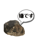 オカヤドカリ 〜ず！！（個別スタンプ：16）