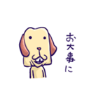 いんきゃ犬（個別スタンプ：4）