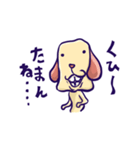 いんきゃ犬（個別スタンプ：6）
