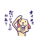 いんきゃ犬（個別スタンプ：7）