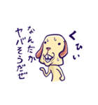 いんきゃ犬（個別スタンプ：10）