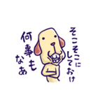 いんきゃ犬（個別スタンプ：22）