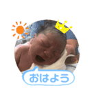 蒼生ちゃんNo1（個別スタンプ：6）
