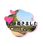 りるしまstamp（個別スタンプ：5）