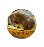 ばななのひとこと2（個別スタンプ：2）