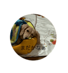 ばななのひとこと2（個別スタンプ：3）