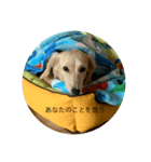 ばななのひとこと2（個別スタンプ：7）