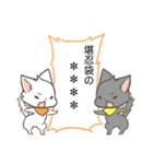 双子猫ズックとポッケのカスタムことわざ改（個別スタンプ：13）