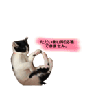おとちゃんぷ。（個別スタンプ：5）
