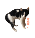 おとちゃんぷ。（個別スタンプ：11）