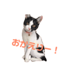おとちゃんぷ。（個別スタンプ：18）