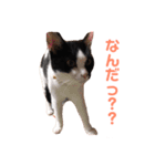おとちゃんぷ。（個別スタンプ：19）