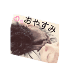 仲良し3人家族♡（個別スタンプ：4）