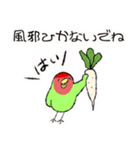 コザクラインコのおでんちゃん冬パック（個別スタンプ：6）