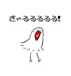 コザクラインコのおでんちゃん冬パック（個別スタンプ：18）