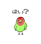 コザクラインコのおでんちゃん冬パック（個別スタンプ：19）