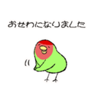 コザクラインコのおでんちゃん冬パック（個別スタンプ：31）