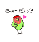 コザクラインコのおでんちゃん冬パック（個別スタンプ：37）