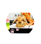 ろい吉（個別スタンプ：2）