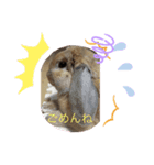 ろい吉（個別スタンプ：8）