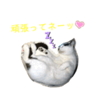 トラチワちゃん♡♡☆（個別スタンプ：5）