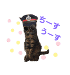 ベンガルレンジャーズのスタンプ⑥（個別スタンプ：4）