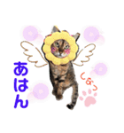 ベンガルレンジャーズのスタンプ⑥（個別スタンプ：10）