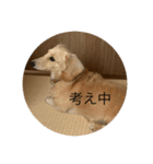 ばななのひとこと3（個別スタンプ：3）
