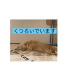 ばななのひとこと3（個別スタンプ：6）