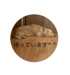 ばななのひとこと3（個別スタンプ：7）