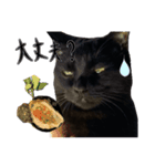 黒猫、名は黒蜜（個別スタンプ：2）