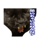 黒猫、名は黒蜜（個別スタンプ：4）