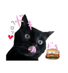 黒猫、名は黒蜜（個別スタンプ：5）