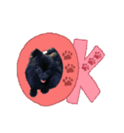 黒ポメ《恋音》のつぶやき vol.2（個別スタンプ：1）
