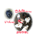黒ポメ《恋音》のつぶやき vol.2（個別スタンプ：7）