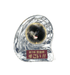 黒ポメ《恋音》のつぶやき vol.2（個別スタンプ：9）