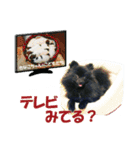 黒ポメ《恋音》のつぶやき vol.2（個別スタンプ：11）