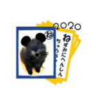 黒ポメ《恋音》のつぶやき vol.2（個別スタンプ：13）