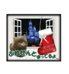黒ポメ《恋音》のつぶやき vol.2（個別スタンプ：14）