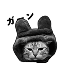 GGCats (Geisha ＆ Gamu)（個別スタンプ：16）