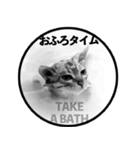 GGCats (Geisha ＆ Gamu)（個別スタンプ：30）