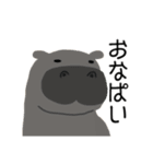 ゆるゆるいきものズ（個別スタンプ：11）