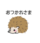 ゆるゆるいきものズ（個別スタンプ：14）